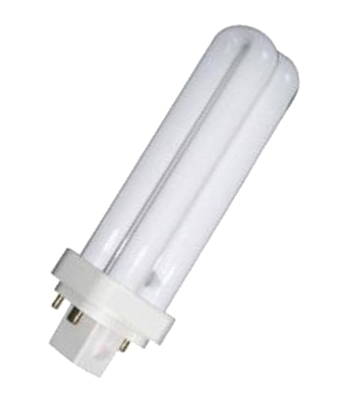 Compact Fluorescent Globes (CFL)