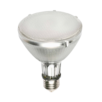 Metal Halide Globes