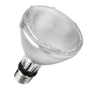 PAR E27 LED Globes