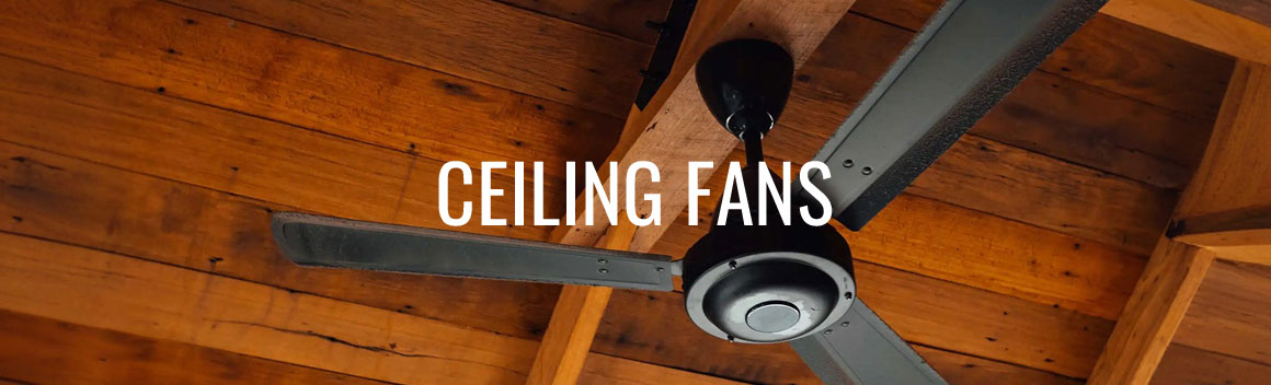 Ceiling Fans