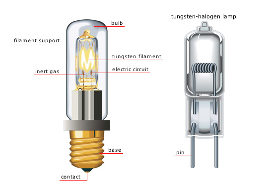 Halogen Light Bulbs